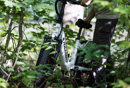 E-Bikes for Wildlife Conservation and Fish and Game Law Enforcement: A Sustainable Solution