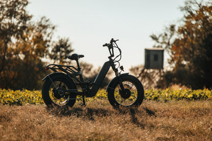 Revolt AWD Step Thru Bike