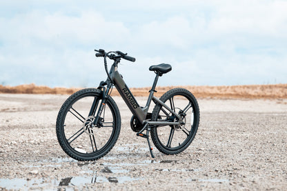 Kid's 24" Chameleon