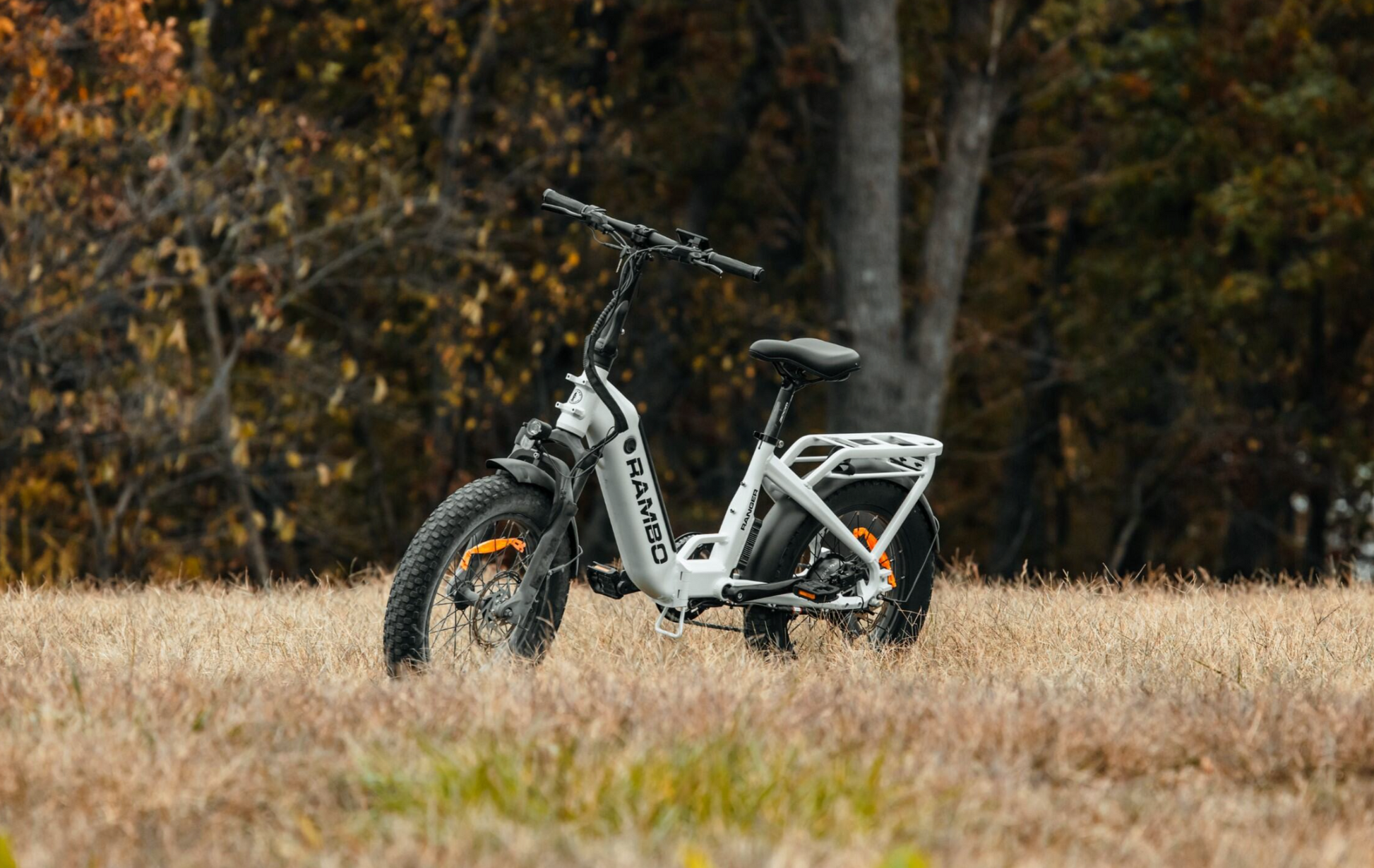 Ranger Folding E-Bike DEMO #3140